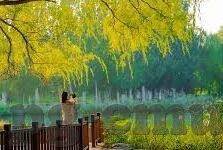 今晚足球比赛比分-今夜绿茵烽火，一场3-2的逆转大戏如何点燃球迷热血？