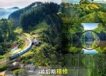 日本加纳足球比分预测-日本VS加纳，比分预测背后的战术博弈与历史恩怨