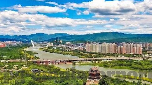 足球比分大师dz-探秘足球比分大师DZ，数据背后的足球智慧与竞技哲学