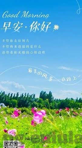 足球新版比分-足球新版比分，数字革命下的竞技新维度与球迷狂欢